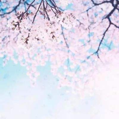 契约少女变态游戏下载