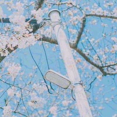 命运纷争游戏下载